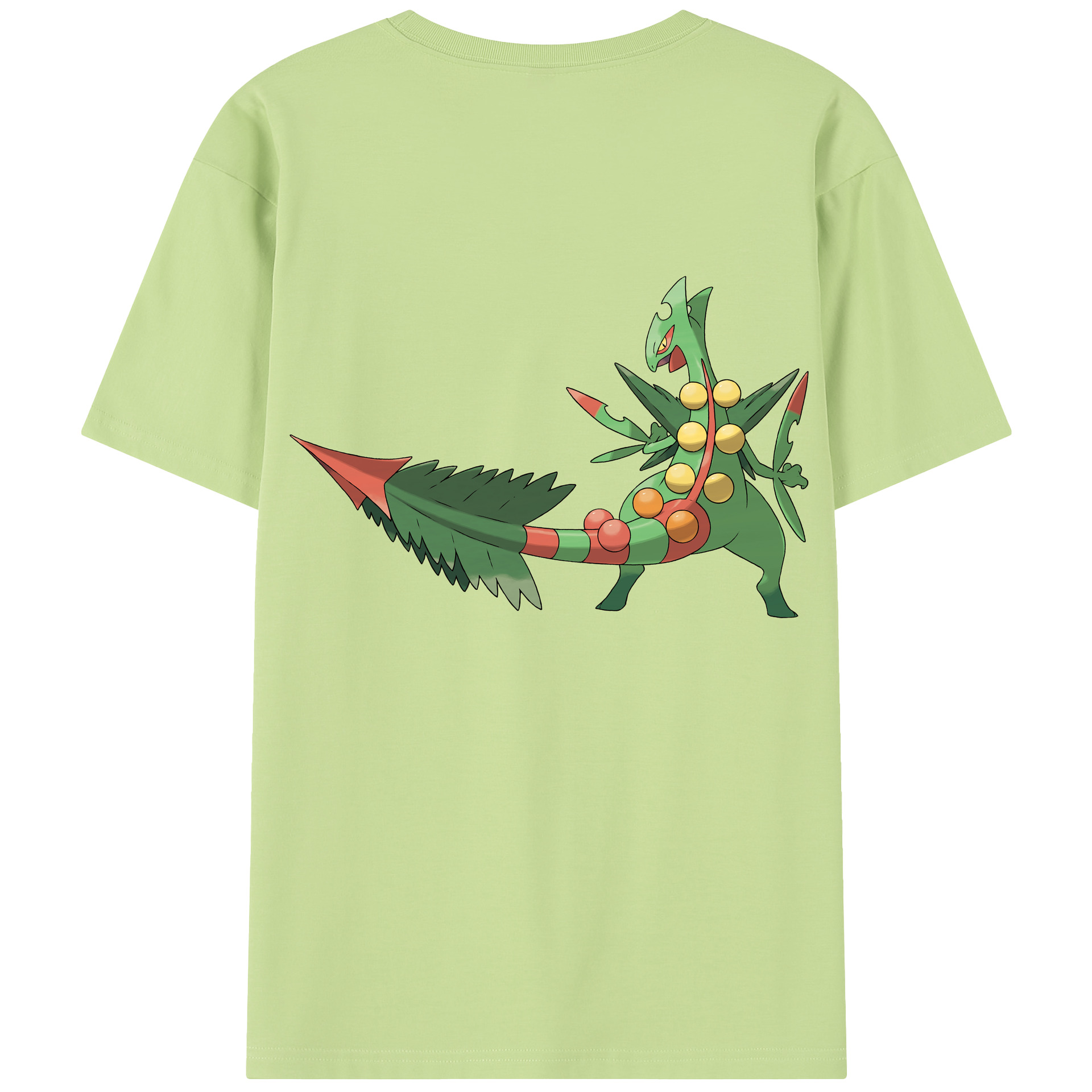 （画像用） ポケットモンスター Pokémon 綿100％半袖Tシャツ（背面プリント）
